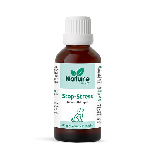 stop-stress-nature-in-vet