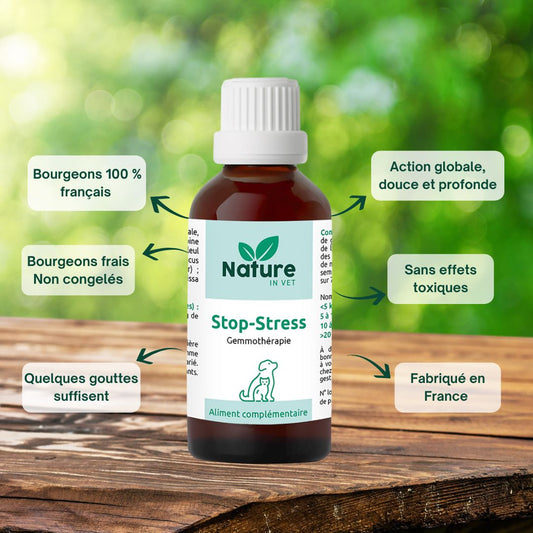 stop-stress-phytotherapie-chien-chat