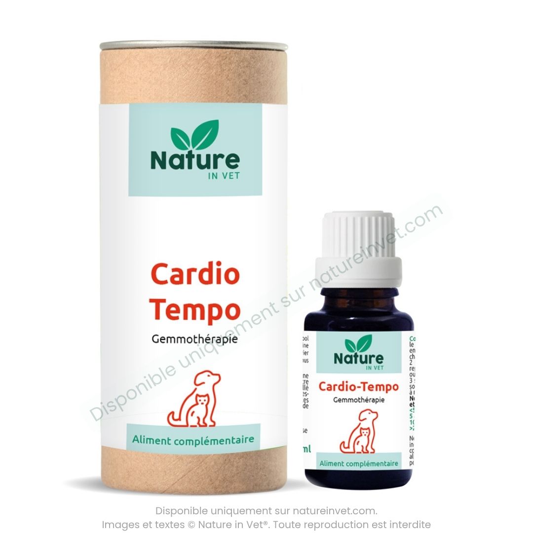 traitement-coeur-chien-prix