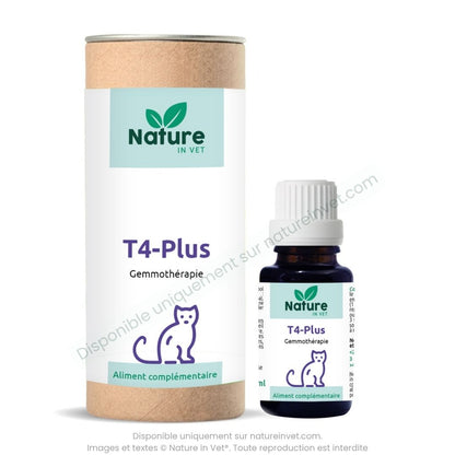 traitement-hyperthyroidie-chat-prix