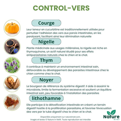 vermifuge-naturel-pour-chien