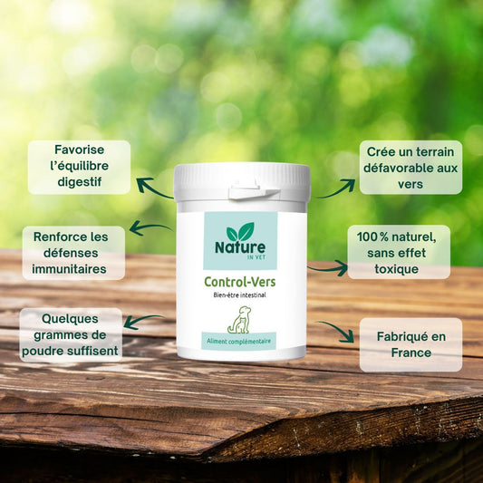 vermifuge naturel chien remède de grand-mère
