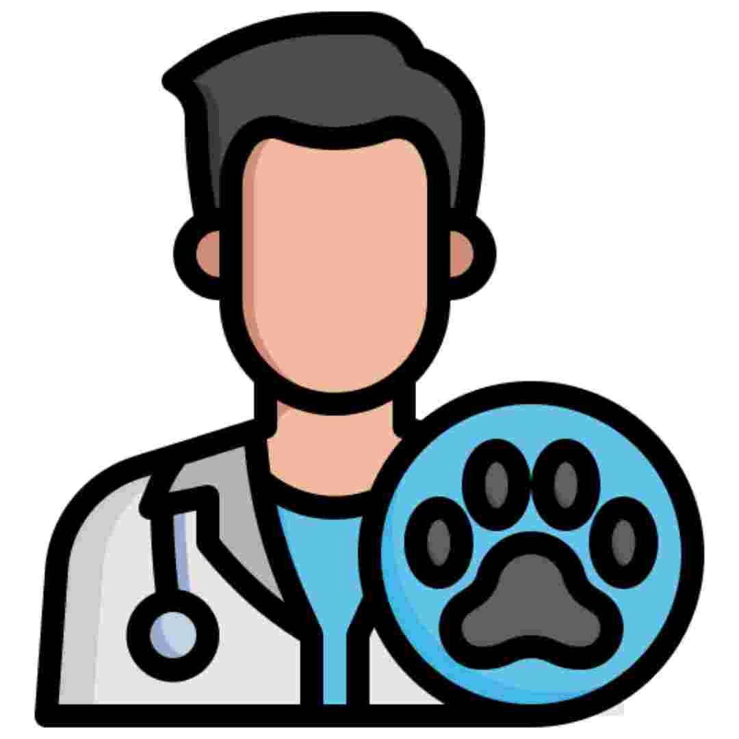 veterinaire-phytotherapie-bien-etre-animal