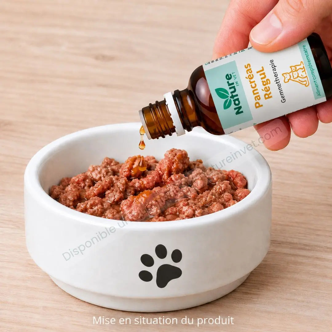 PANCREAS-REGUL Nature In Vet